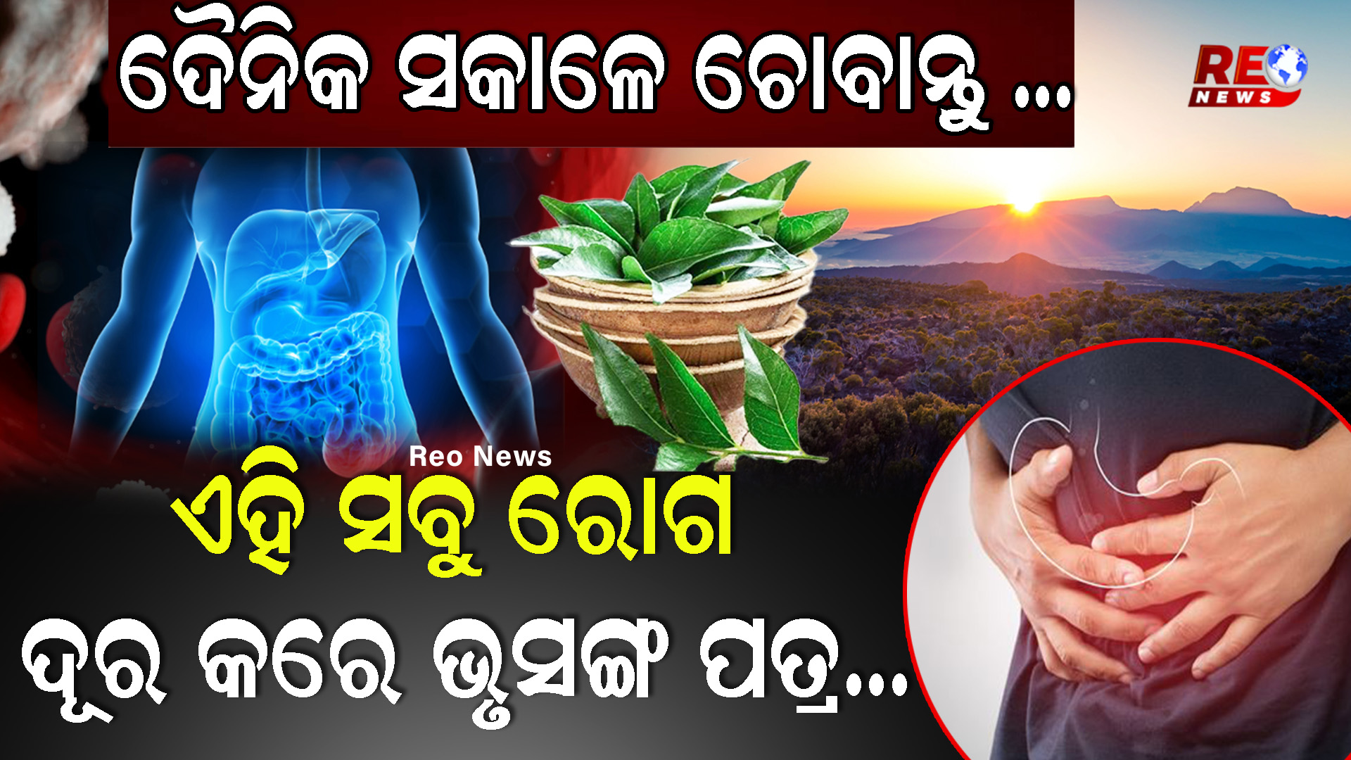 ଏହି ସବୁ ରୋଗ ଦୂର କରେ ଭୃସଙ୍ଗ ପତ୍ର…