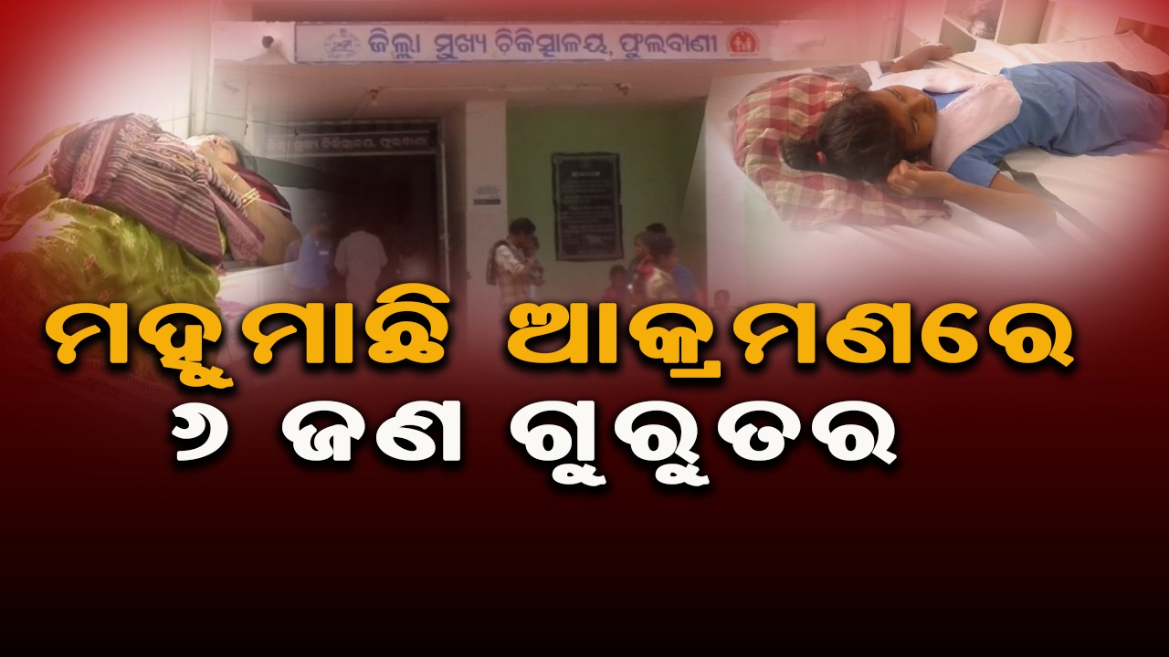  ମହୁମାଛି ଆକ୍ରମଣରେ ୬ ଜଣ ଗୁରୁତର