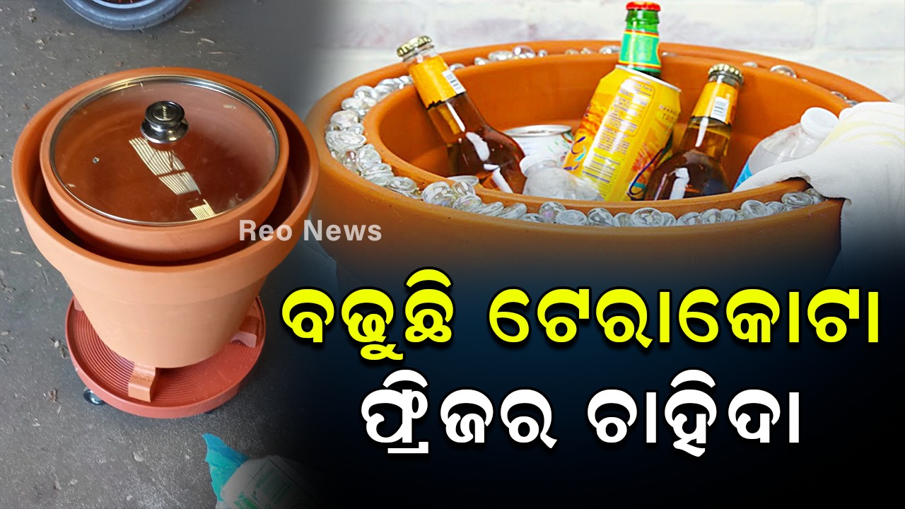 ବଢୁଛି ଟେରାକୋଟା ଫ୍ରିଜର ଚାହିଦା