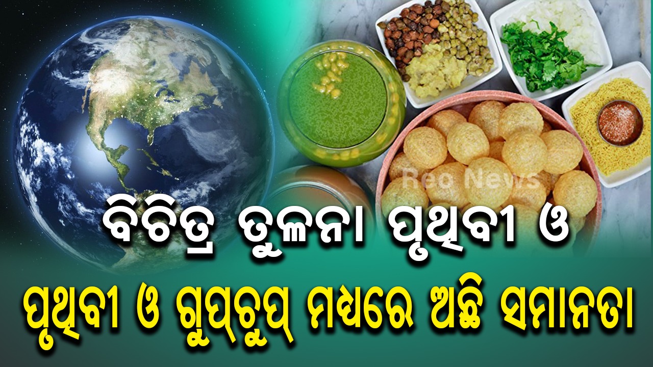 ବିଚିତ୍ର ତୁଳନା ପୃଥିବୀ ଓ ଗୁପ୍ଚୁପ ମଧ୍ୟରେ ଅଛି ସମାନତା